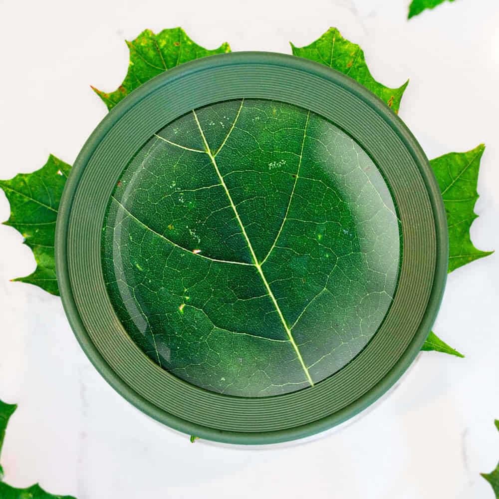 Carson HU-55 BugLoupe™ 4.5x Standlı Büyüteç