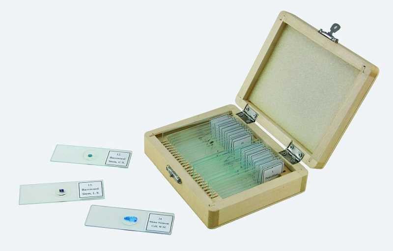 Celestron 25 Parça Mikroskop Slayt Set