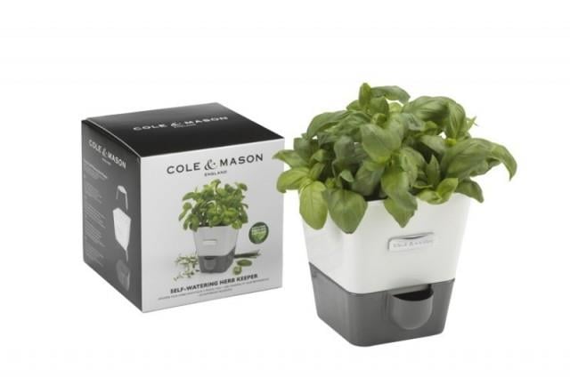 Cole & Mason H105249 Yeşillik Saklama Kabı