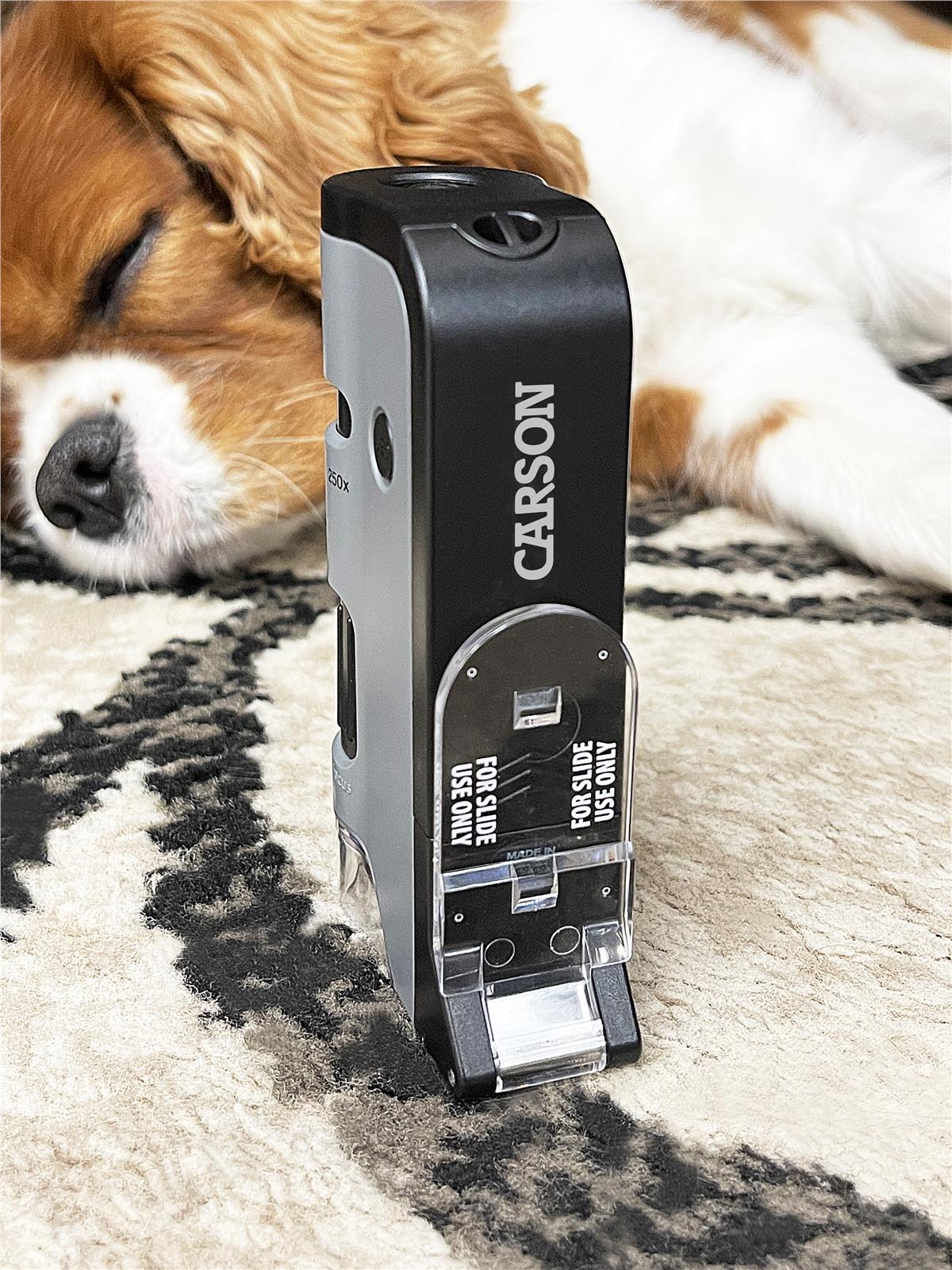 Carson MP-250 MicroFlip® 100x-250x Led UV Cep Mikroskobu + 24 Adet Slayt Set