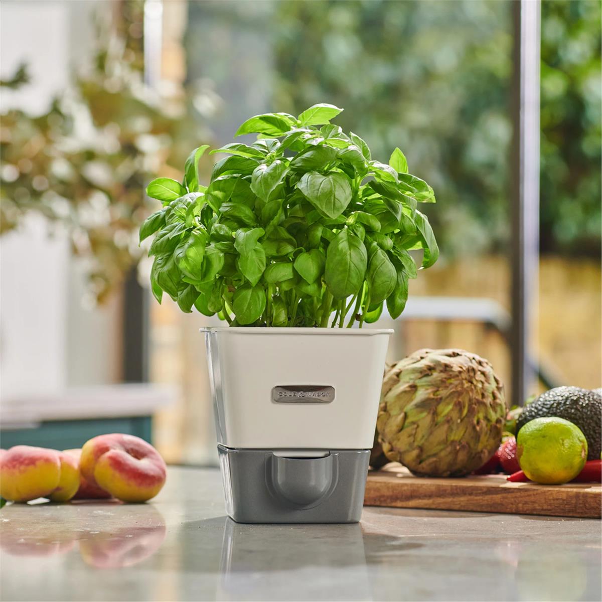 Cole & Mason H105249 Yeşillik Saklama Kabı
