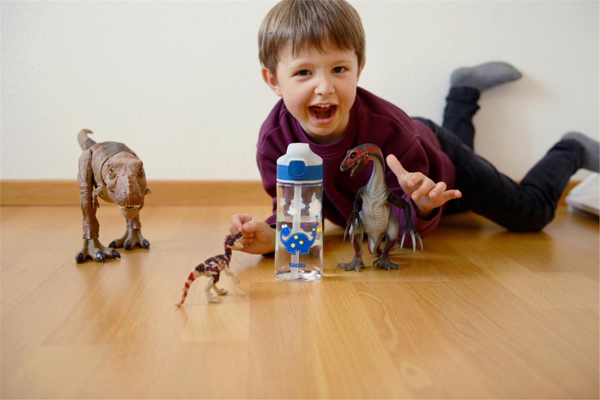 Sigg 8731.90 Miracle 0.35L Çocuk Matarası, Dinosaur Friend