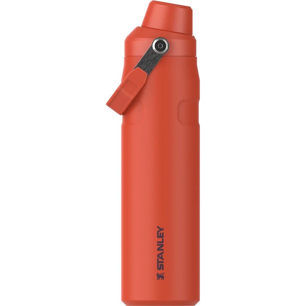 Stanley The AeroLight™ Iceflow Su Şişesi 0.6L | Tigerlily Plum