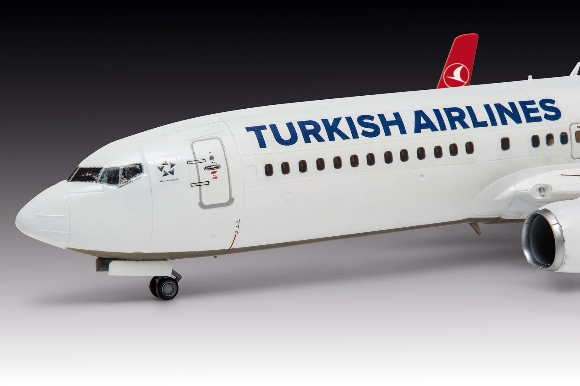 THY Boeing 737-800