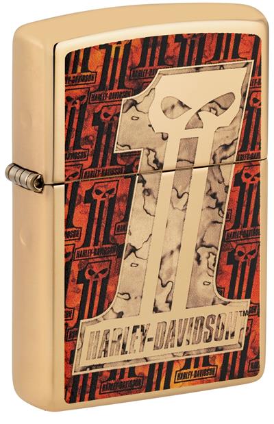 254B Harley Davidson