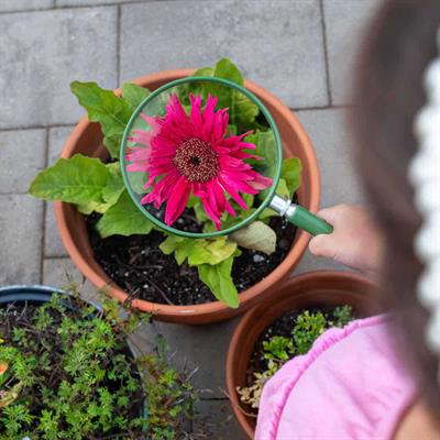 Carson HU-20 BigEye™ 2x Büyük Boy Büyüteç