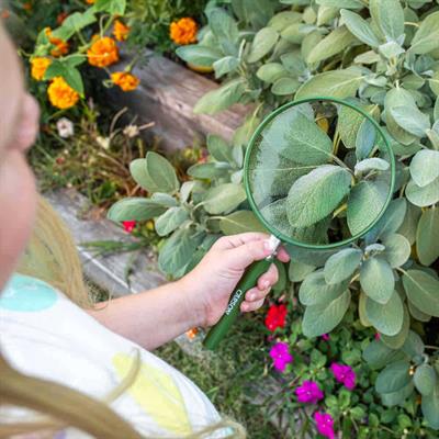 Carson HU-20 BigEye™ 2x Büyük Boy Büyüteç