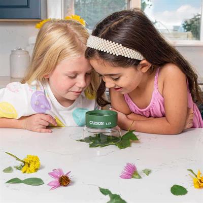 Carson HU-55 BugLoupe™ 4.5x Standlı Büyüteç