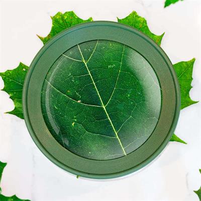 Carson HU-55 BugLoupe™ 4.5x Standlı Büyüteç