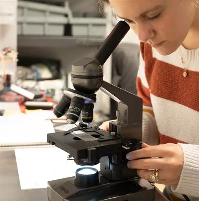 Carson MS-100 Masaüstü 100x-1000x Biyolojik Mikroskop