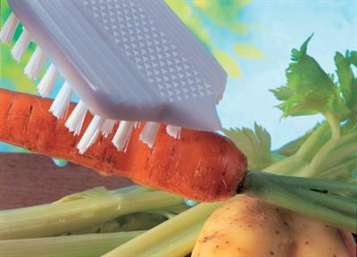 Culinare C40002 Sebze Temizleme Fırçası