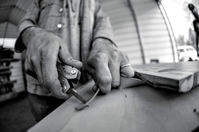 Gerber 31003683 Suspension NXT Çok Amaçlı Pense