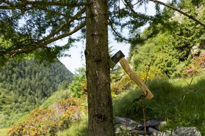 Prandi 900gr Yankee Balta, 50cm Hikori Sap