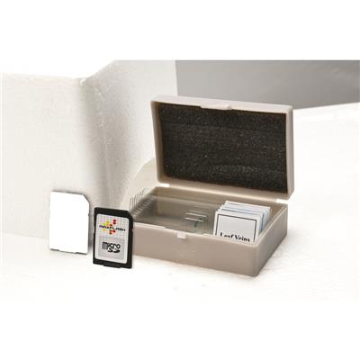 Celestron II LCD Dijital Mikroskop