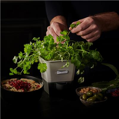 Cole & Mason H105249 Yeşillik Saklama Kabı