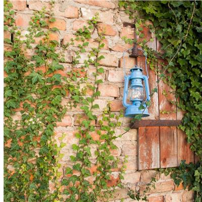 Feuerhand 276 Gazlı Fener Pastel Mavi