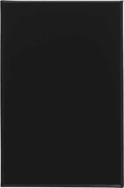 Moleskine XSmall Boy Professional Silk Limitli Üretim Defter, Kutulu