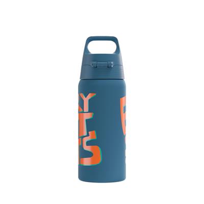 Sigg 6022.70 Therm One 0,5L Çocuk Termos, Ballgame