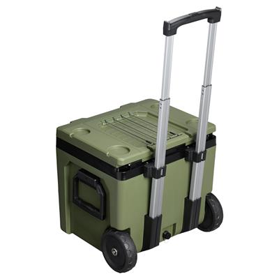 Stanley Easy-Carry Outdoor Buzluk 47.3L | Dried Pine