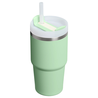 Stanley Quencher H2.0 FlowState™ Bardak 0.60L | Pistachio
