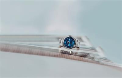 Victorinox 241910 Alliance Quartz Erkek Kol Saati