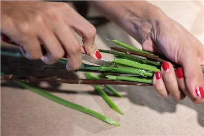 Victorinox 3.9050.22B1 Çiçekçi Çakısı (Blisterli)