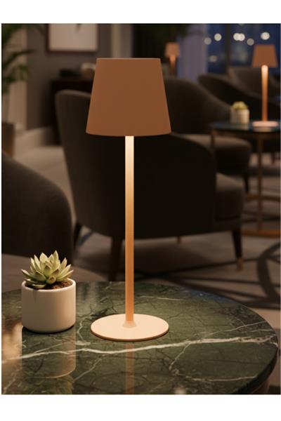 Modern Mantar Tasarımlı Şarjlı Masa Lambası PEMBE (3 Farklı Işık Tonu, Dokunmatik Dimmer, Type-C)