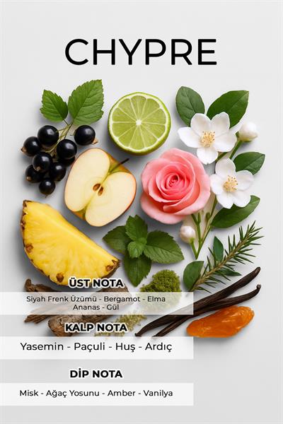 Dynamic 65 ml EDP Aventus Erkek Parfüm