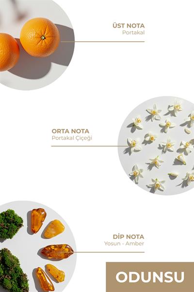 And You Ortam Kokusu 150 ml – Elegant Red