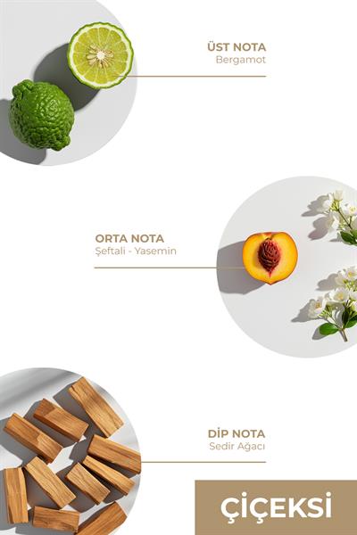 And You Ortam Kokusu 150 ml – Jack Ryan