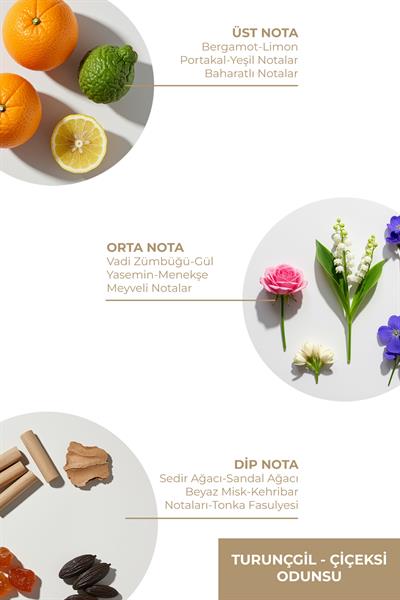 And You Ortam Kokusu 150 ml – Ocean Freshness