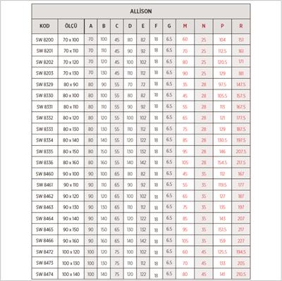 SHOWER Allison Asimetrik Duş Teknesi, Flat