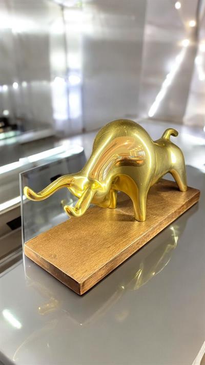 Gold Boğa 2Li Set