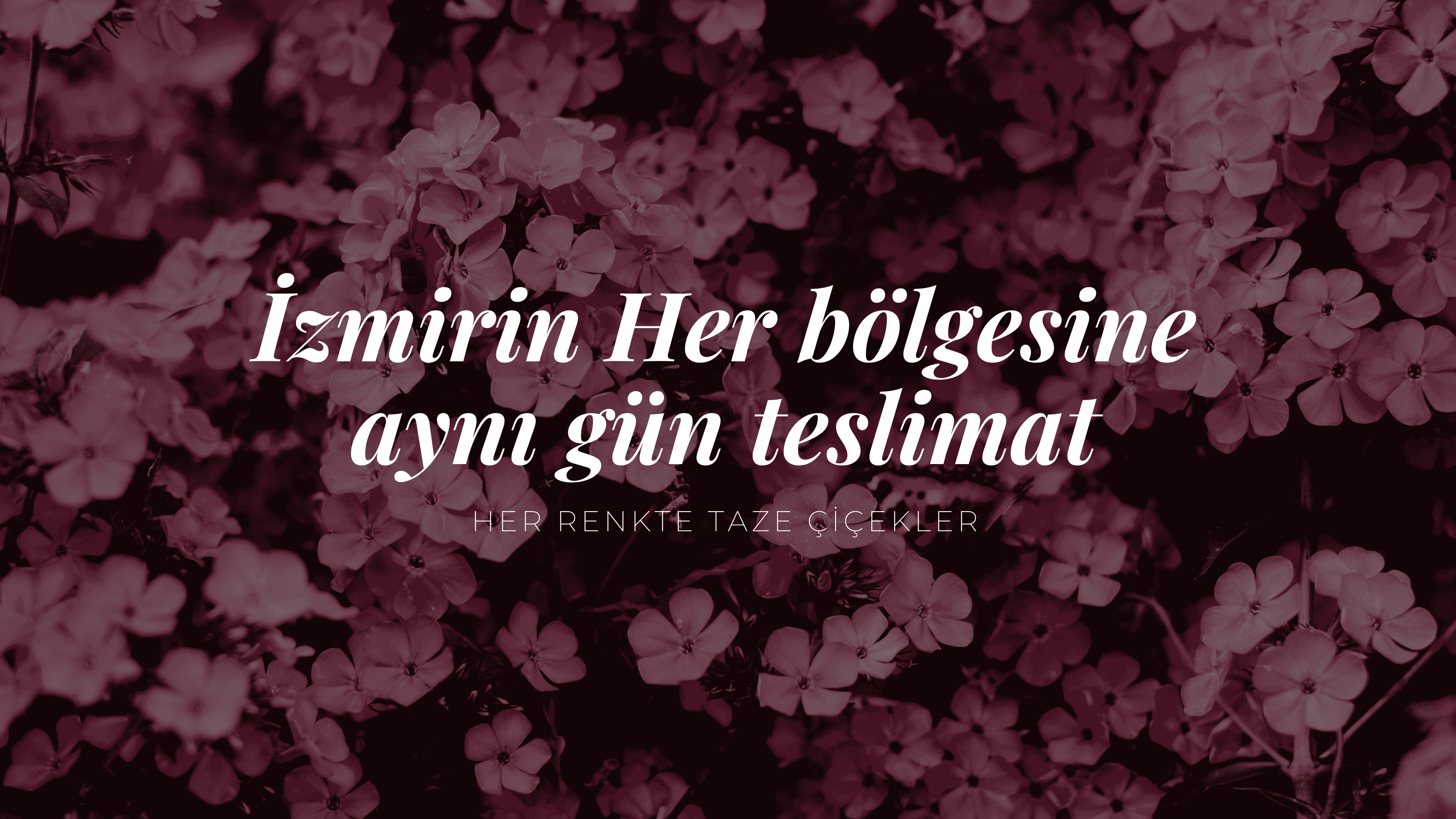 aynı gün çiçek teslimatı