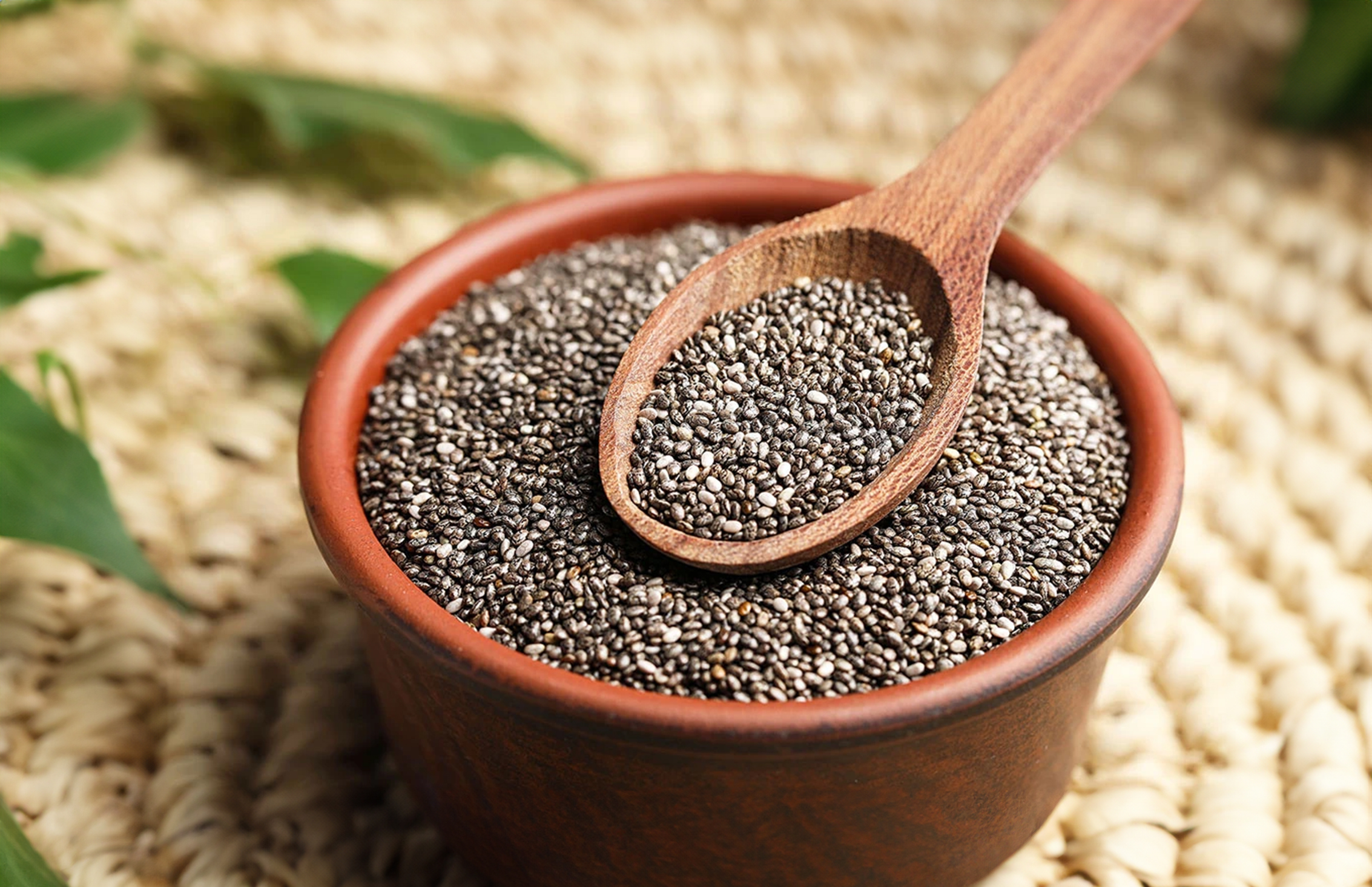 Chia Tohumu Nedir? Chia Tohumu Faydaları Nelerdir?