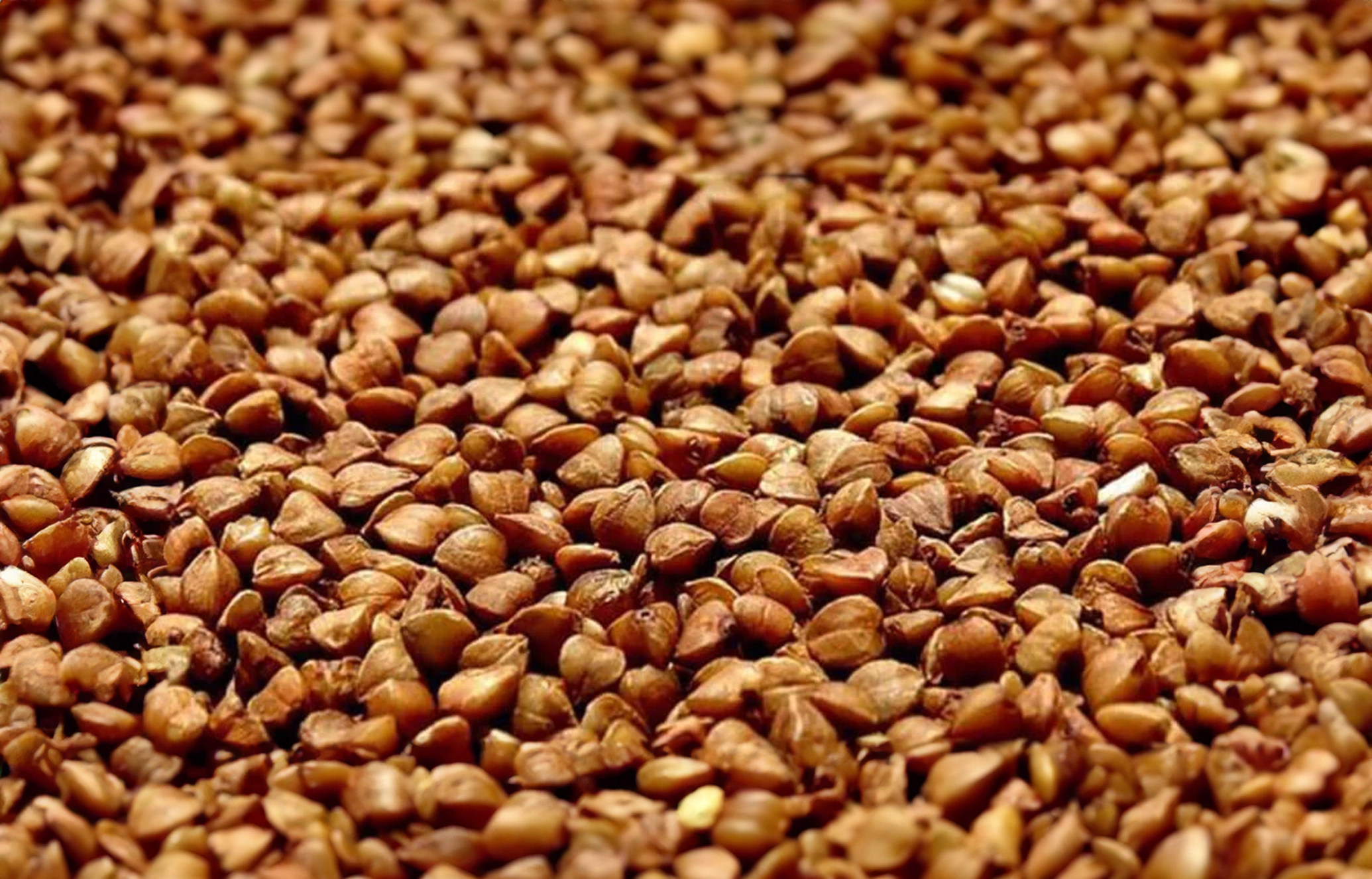Karabuğday Nedir?