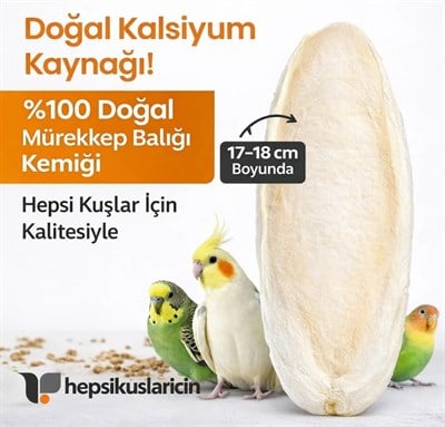 Hepsi Kuşlar İçin  Büyük Boy Kalamar Kemiği ( Kalamar Kemiği Tutamaç Hediyeli)