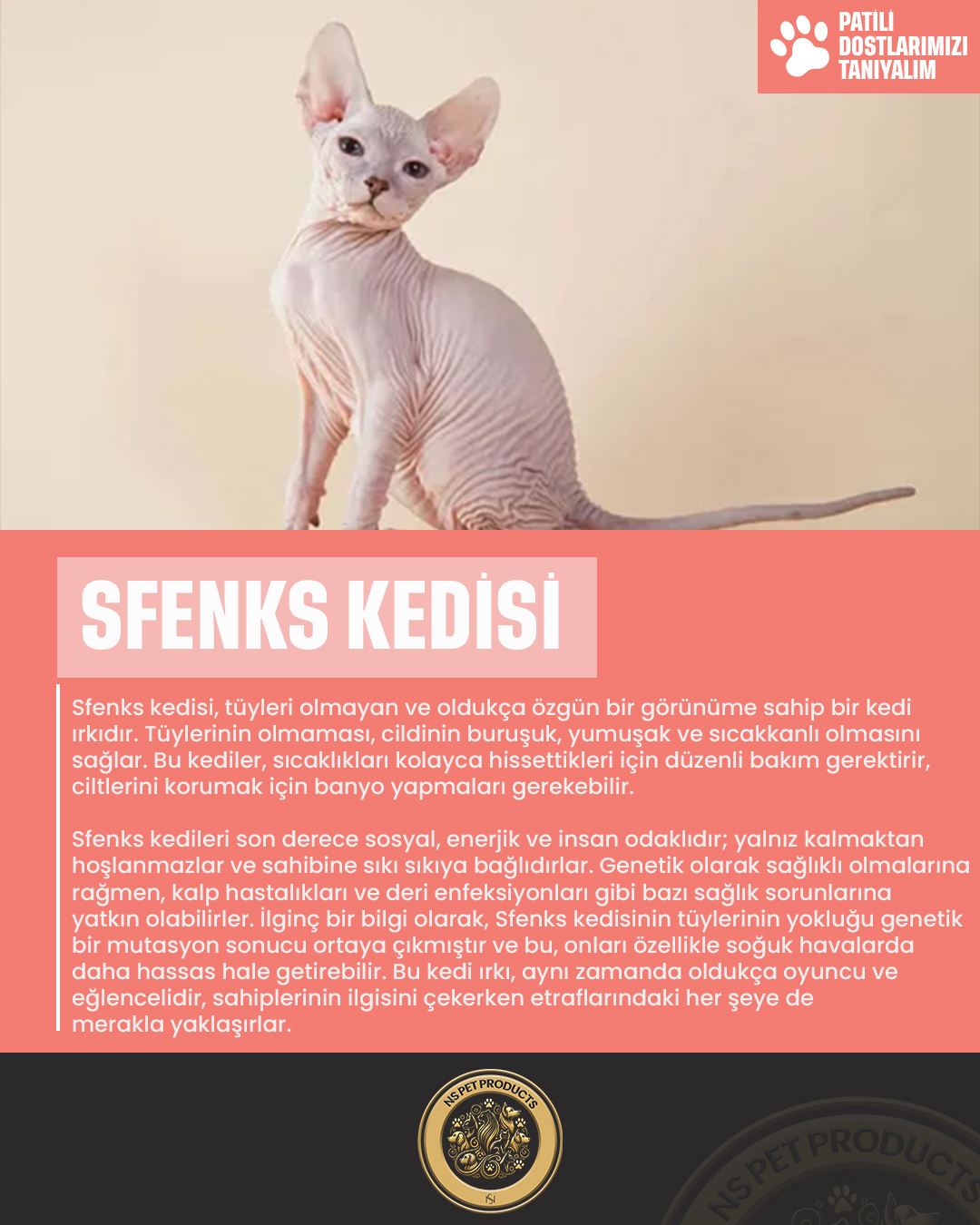 Kediler