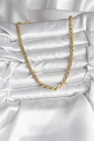 14K Gold Renk Kaplama Burgu Model CM Kadın Kolye – PRT3500EB09661