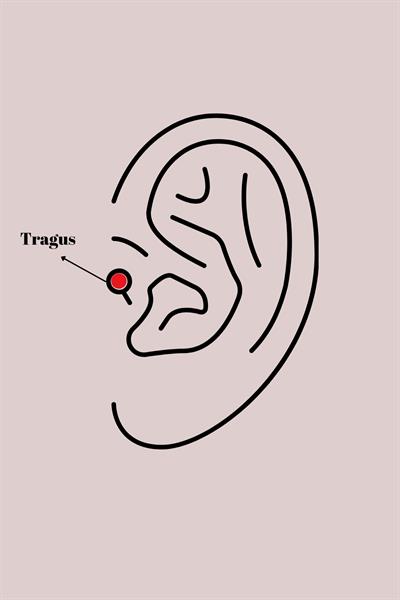 316L Çelik Gümüş Renk Pembe Mineli Kalp Zirkon Taş Detaylı Taç Tragus Piercing – PRT3500EB02888