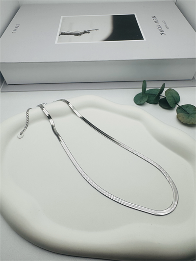 4mm 45cm İtalyan Çelik Kolye (Gümüş) 0106151-01