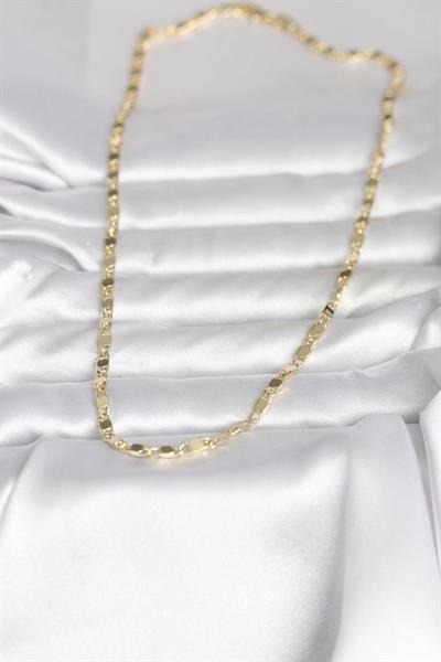 14K Gold Renk Arpa Model 45cm Kadın Kolye - PRT3500EB10326