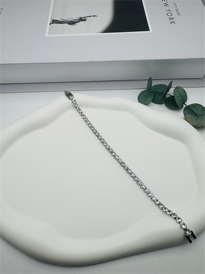 Su Yolu Çelik Bileklik (Gümüş) Blk 2121-01