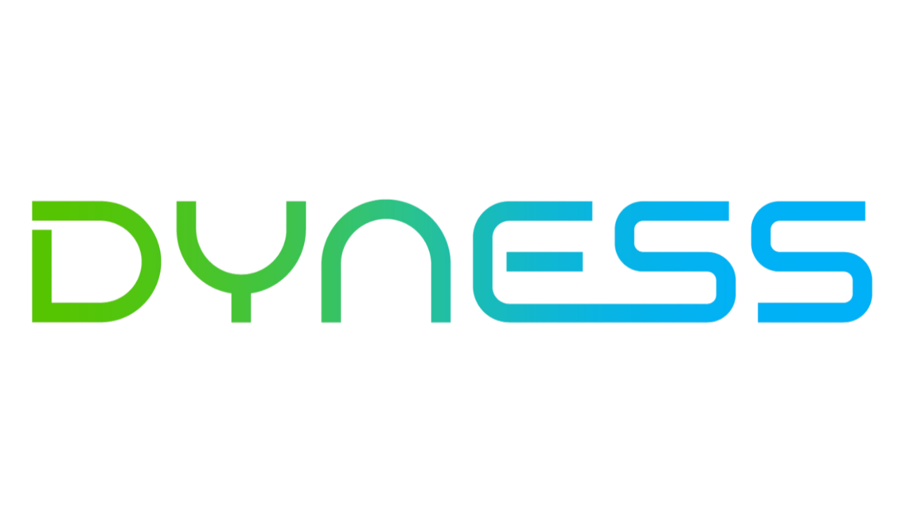 Dyness