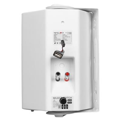 MagicVoice F-LHY5S 5.25