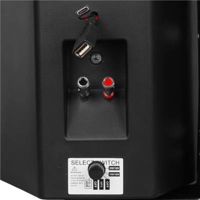 MagicVoice F-LHY6.5S 6.5