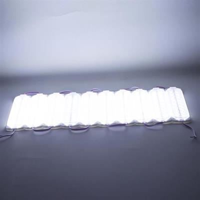 Powermaster 12 Volt 3.6 Watt Soğuk Beyaz Flaşlı Yanıp Sönen 2835 Modül Led