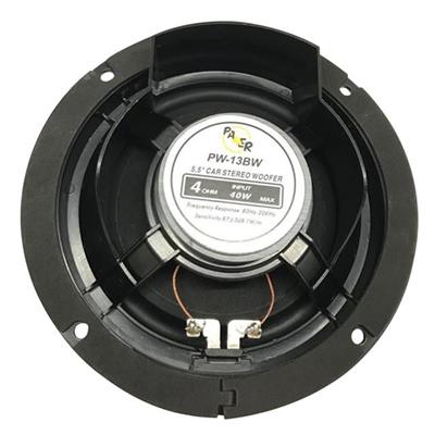 Powermaster PW-13BW 4 Ohm 40 Watt 13 Cm Tekli Hoparlör