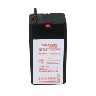 Yokohama YH-40.3 4 Volt - 0.3 Amper Akü (25.5x19.5x48 mm)