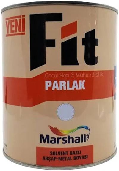 Fİ FİT PARLAK  2,5 lt YAĞLI BOYA